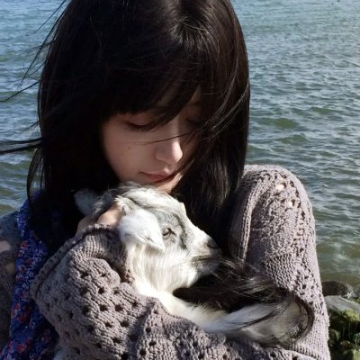犯罪心理第十六季